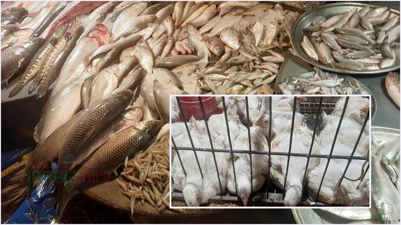 এক সপ্তাহে ব্রয়লারের দাম বাড়ল ২০ টাকা, মাঝারি ইলিশ ১৫০০ 