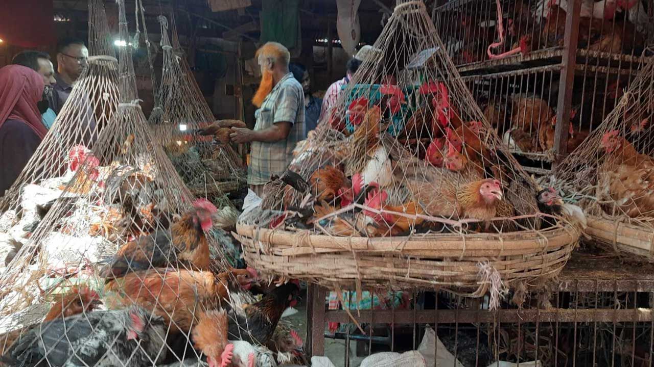 গরুর মাংস ৮৫০, ব্রয়লার ২৩০