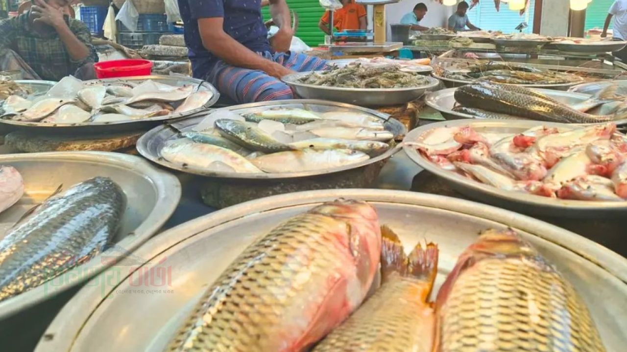 ২০০ টাকার নিচে নেই কোনো মাছ