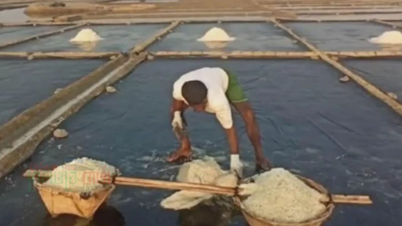 কালবৈশাখী ঝড়ে কোটি টাকার লবণ মিশে গেছে পানিতে, ক্ষতির মুখে চাষিরা
