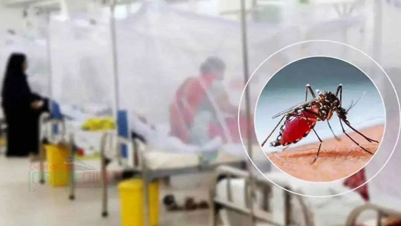 ডেঙ্গুতে আরও ৬ জনের মৃত্যু, হাসপাতালে ভর্তি ১৯৪৮