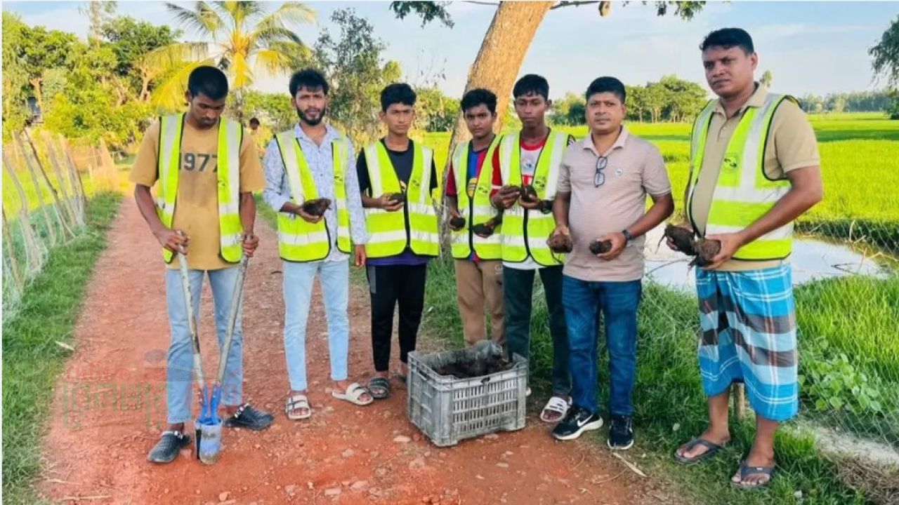 ছেলের বন্ধুর মৃত্যু বজ্রপাতে, এখন রাস্তার ধারে তাল বীজ লাগাচ্ছেন ছবুর