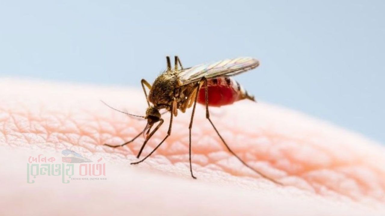 ডেঙ্গুতে আরও ৫ জনের মৃত্যু, হাসপাতালে ভর্তি ১৫১২